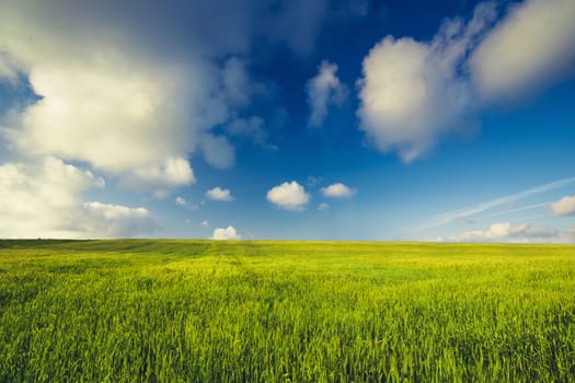 Beautiful landscape with an amazing blue sky and white clouds