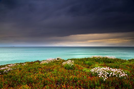 Beautiful landscape view from the Portuguese coastline 