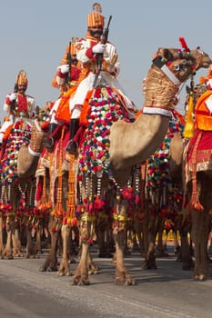 Soldiers of the Indian Border Security Force riding their camels down the Raj Path in preparation for the annual Republic Day Parade