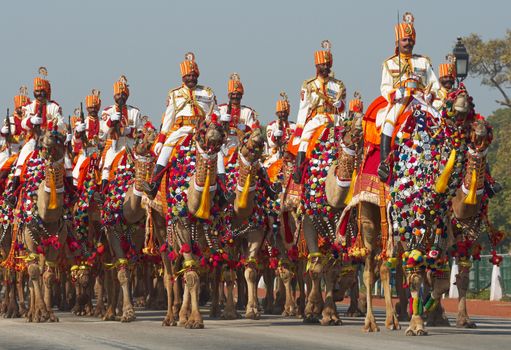 Soldiers of the Indian Border Security Force riding their camels down the Raj Path in preparation for the annual Republic Day Parade