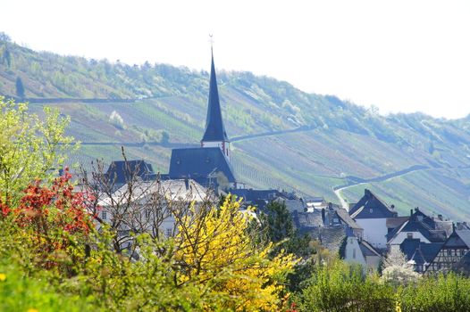 Enkirch on the Moselle with steeple and slate roofs, flowering bushes in the foreground