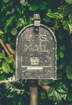 Retro Style Vintage US Mail Post Box Against Lush Tropical Background In Hawaii