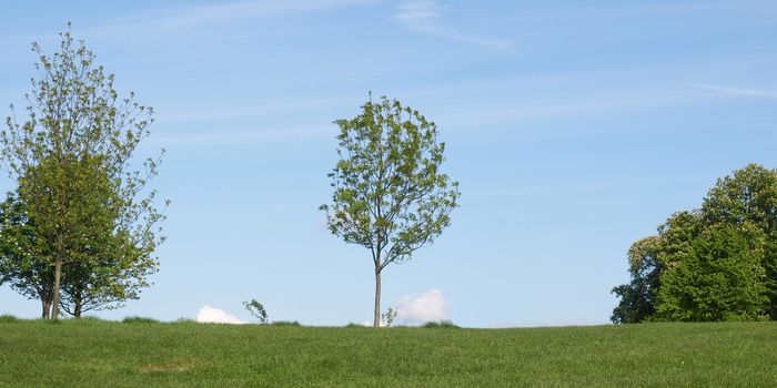 Primrose Hill park in London, England, UK