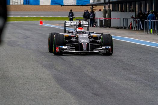 JEREZ DE LA FRONTERA, SPAIN - JAN 31: Adrian Sutil of Sauber F1 leaving the pit on training session on January 31 , 2014, in Jerez de la Frontera , Spain