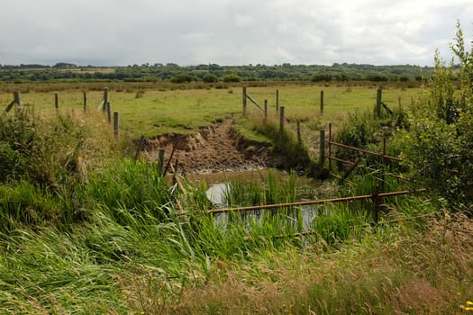 An area of river fenced off as a watering hole next to a field of green grass.