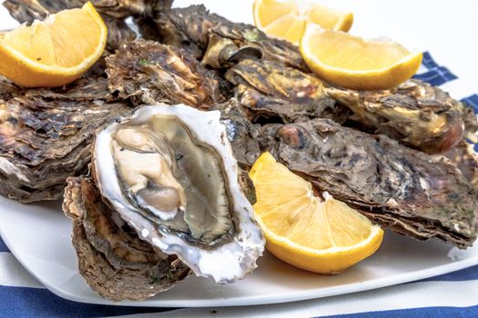 Lots of oysters on a dish with lemon
