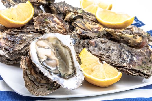 Lots of oysters on a dish with lemon