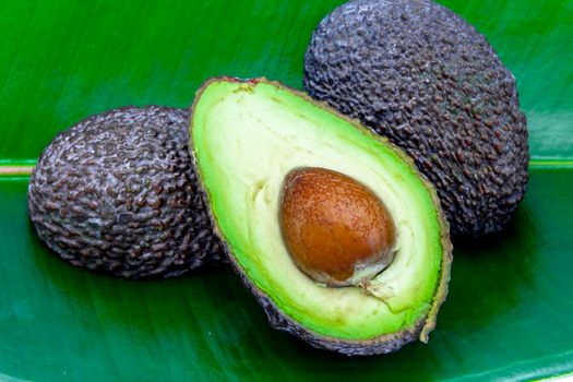 Composition of several avocados on a green background