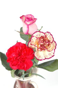 Blossom flowers in vase over white