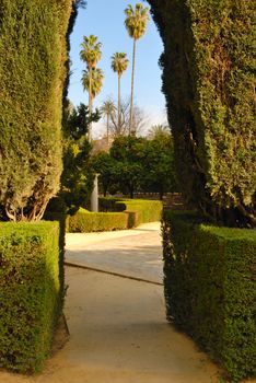 Hedge arch in the gardens of the Alcazar in Seville, Spain.