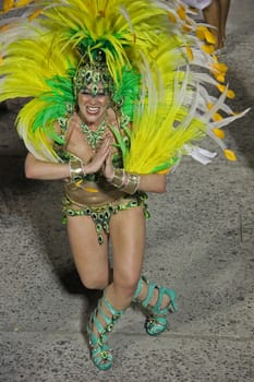 An entertainer performing at a carnaval in Rio de Janeiro, Brazil
03 Mar 2014 
No model release
Editorial only