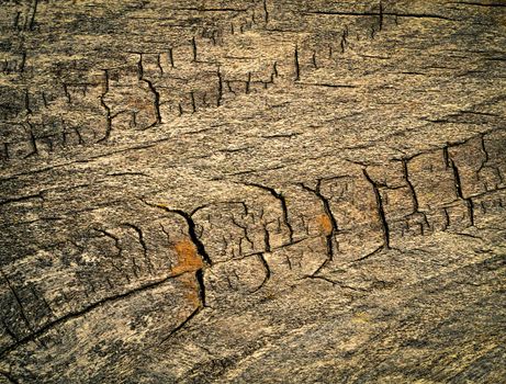 abstract background or texture old wood patterned