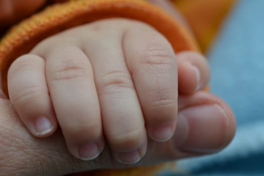 Baby's hand holding a finger of his father. Orange and blue background.