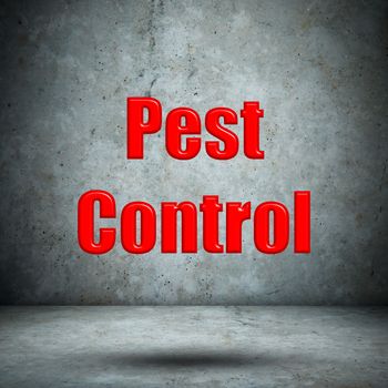 Pest Control concrete wall