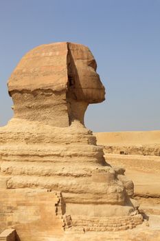 Close side view of the head of the Sphinx at the Pyramids of Giza in Cairo Egypt with birds perched on head of the statue