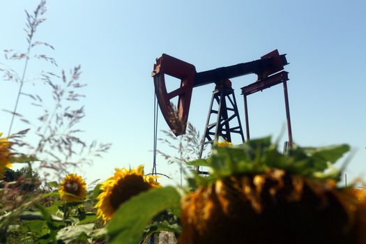 Oil pump jack working in the field 