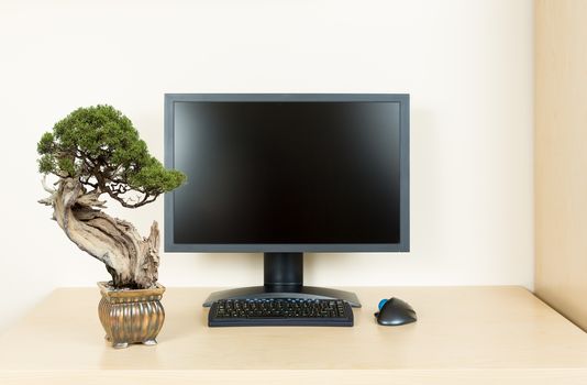 Small old bonsai tree in golden pot on plain wooden desk with computer monitor and keyboard to suggest calm and meditation at work