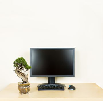 Small old bonsai tree in golden pot on plain wooden desk with computer monitor and keyboard to suggest calm, organization and meditation at work