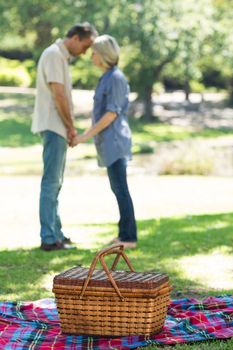 Picnic basket on blanket at park with romantic couple in background