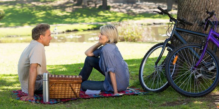 Side view of loving couple enjoying picnic in park