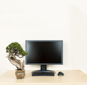 Small old bonsai tree in golden pot on plain wooden desk with computer monitor and keyboard to suggest calm and meditation at work