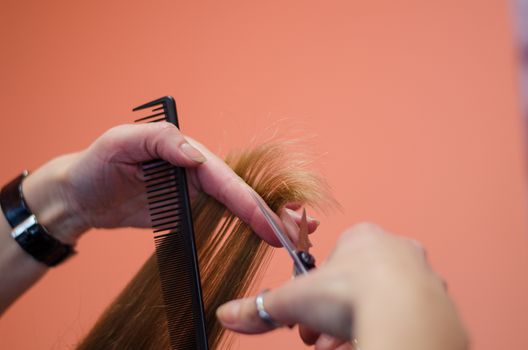 hairdresser shorten the ends of the hair with scissors
