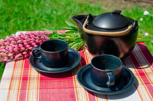 close up of black clay tea set and pink lupine aoutdoor