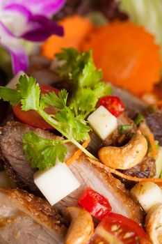 Thai Salad with Crispy Duck and fresh green mango tomatoes and cashew nuts on a bed of lettuce. Macro detail with shallow depth of field.