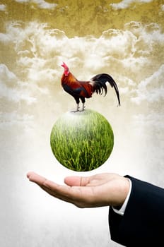 Businessman show the green planet with chicken, Organic farm concept