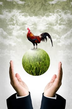 Businessman show the green planet with chicken, Organic farm concept