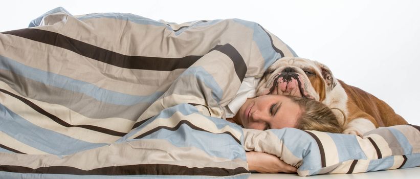 english bulldog protecting his owner as she sleeps on white background