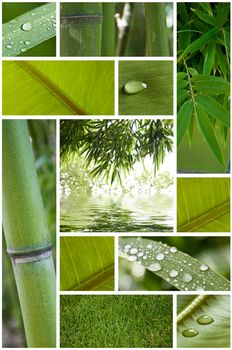 Nature zen collage