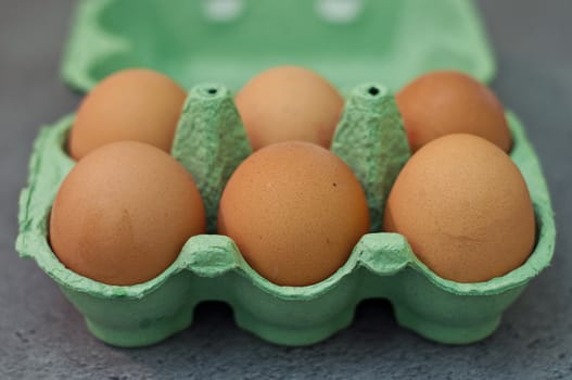 bio eggs in the kitchen 