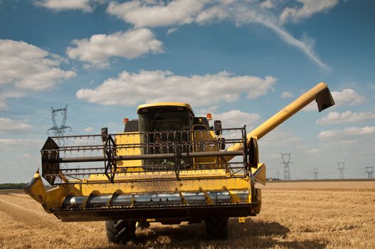 harvest in wheat field