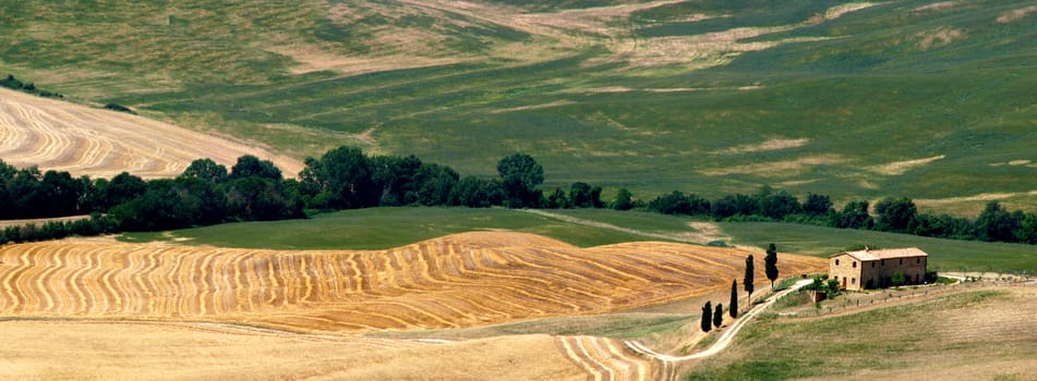 Landscape of Tuscany Countryside with Cypress Trees