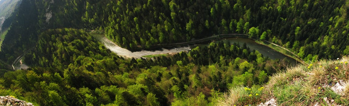 Dunajec river canyon gulch in Pieniny