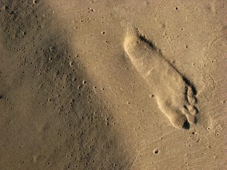 Footprint of man at the beach