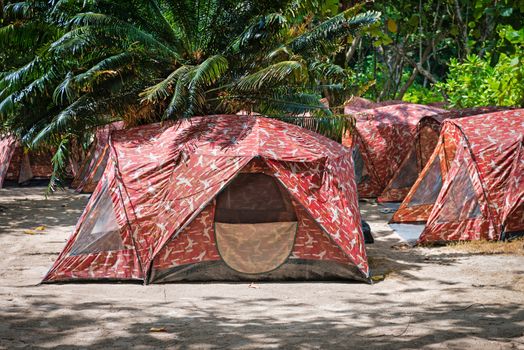 Camping with tents in tropical forest, Mu Ko Similan National Park, Thailand