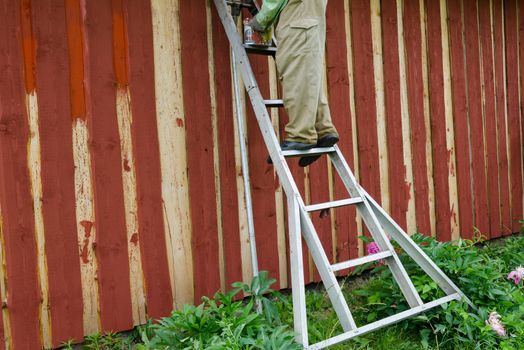 housepainter man on ladder paint wooden rural garden house wall with brush paintbrush.