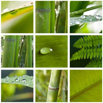 Nature zen collage