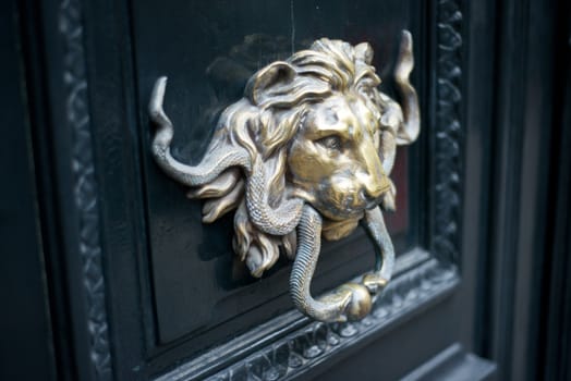 Building entry - ancient luxury door closeup