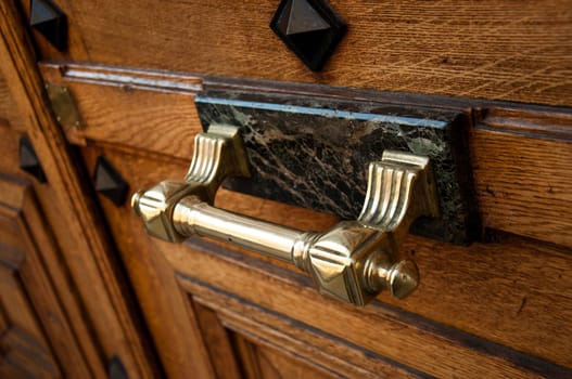 Building entry - ancient luxury door closeup