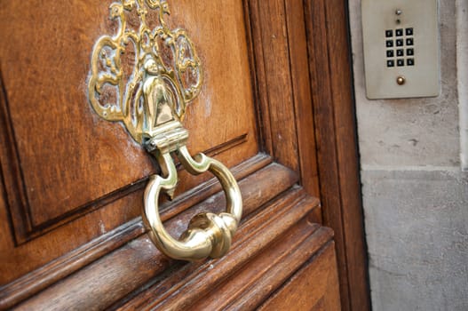 Building entry - ancient luxury door closeup
