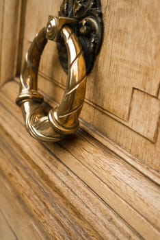 Building entry - ancient luxury door closeup