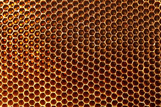yellow beautiful honeycomb without honey texture