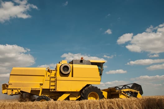 harvest in wheat field