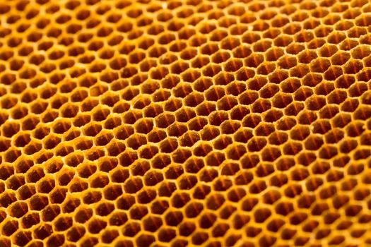 yellow beautiful honeycomb without honey texture