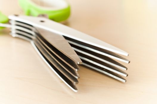 parsley scissors closeup isolated 