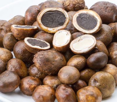 Mushroom - Barometer Earthstars (Astraeus hygrometricus)