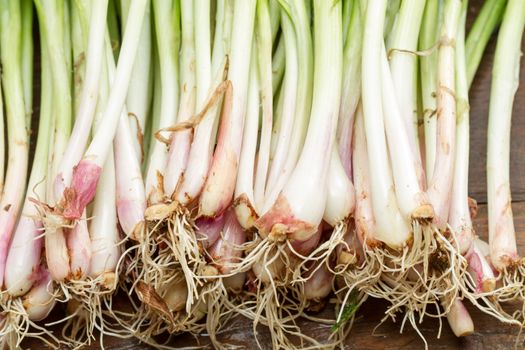 fresh green onion on wood background